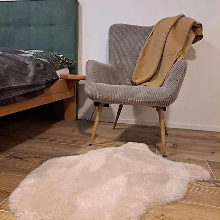 Modern Alpine Corso Apartment Harrachov