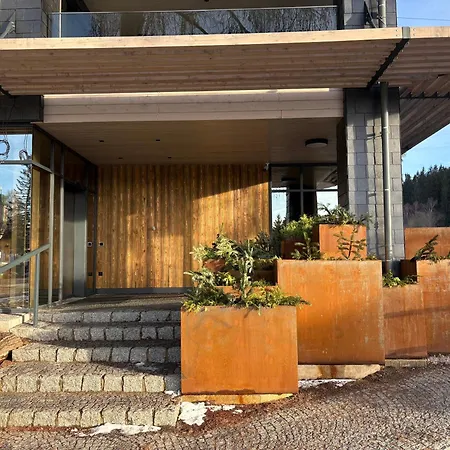 Modern Alpine Corso * Harrachov