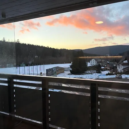 The 306 Corso Harrachov